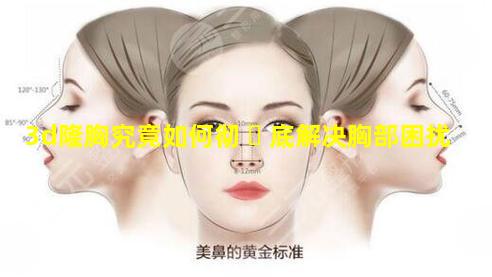 3d隆胸究竟如何彻 ☘ 底解决胸部困扰